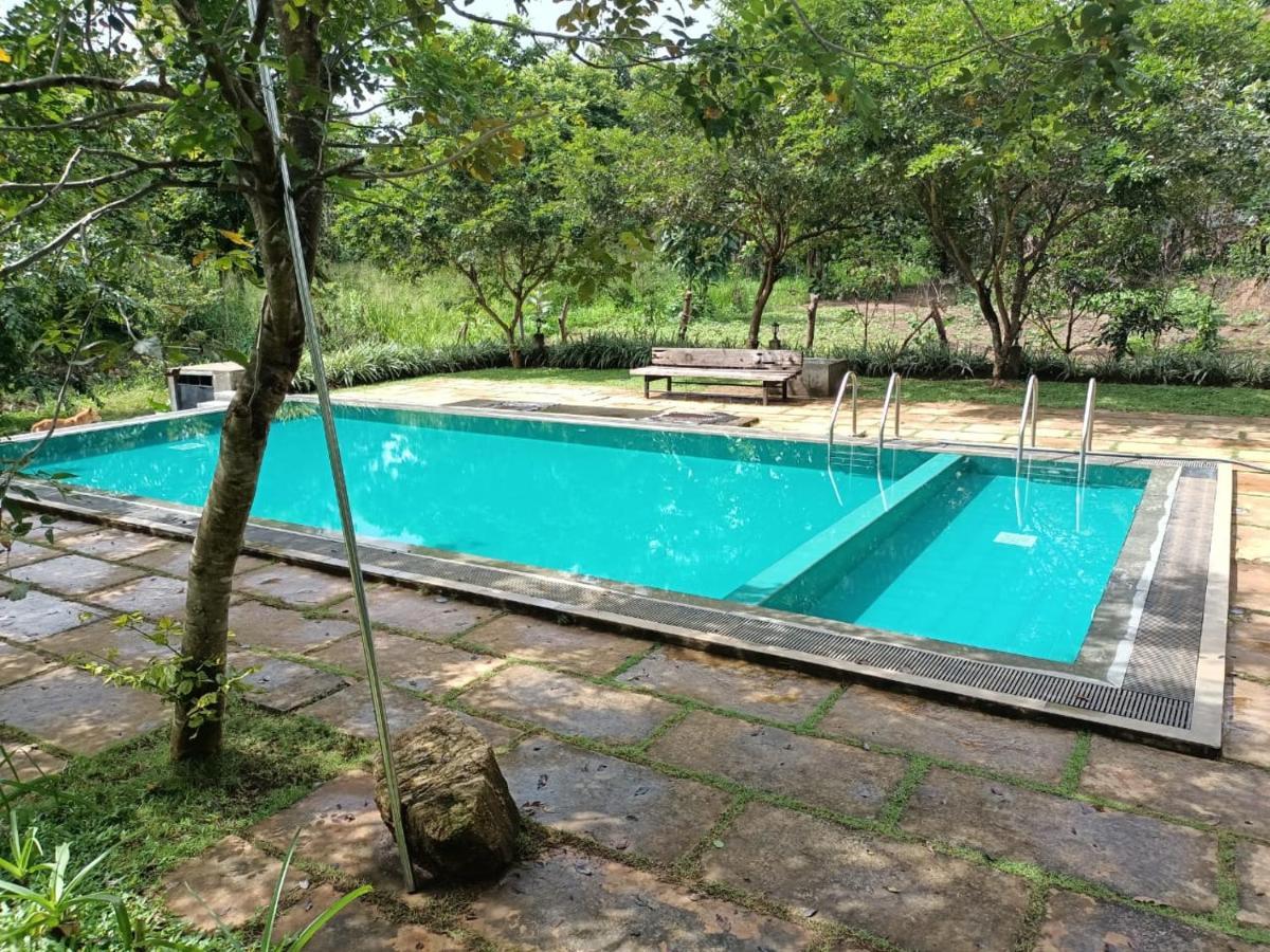 Spice Village Hotel & Restaurant Habarana Esterno foto